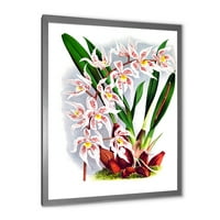 Дизайнарт 'Бяла Реколта Орхидея' традиционна рамка Арт Принт