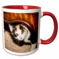 3дросе Домашно калико котка наднича - на ПВО-Пиперан Уорчестър-два тона червена чаша, 11-унция